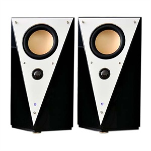 【当当自营】HiVi 惠威 音箱 T200B （终极版）音乐监听大师级