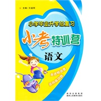 小学毕业升学总复习——小考特训营 语文