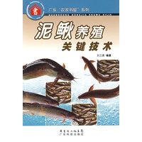 泥鳅养殖关键技术--广东“农家书屋”系列
