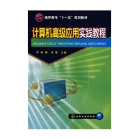 计算机高级应用实践教程(杨柳)