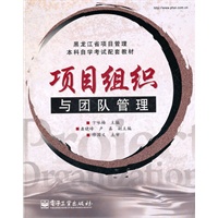 项目组织与团队管理