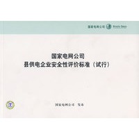 国家电网公司县供电企业安全性评价标准（试行）