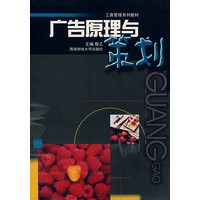 广告原理与策划（陈乙）