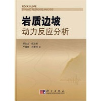 岩质边坡动力反应分析