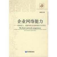 企业网络能力