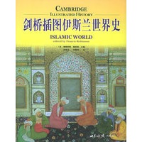 剑桥插图伊斯兰世界史——剑桥插图世界历史系列