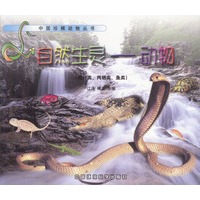 自然生灵——动物(爬行类、两栖类、鱼类)