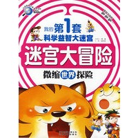 我的第1套科学益智大迷宫：迷宫大冒险－微缩世界探险
