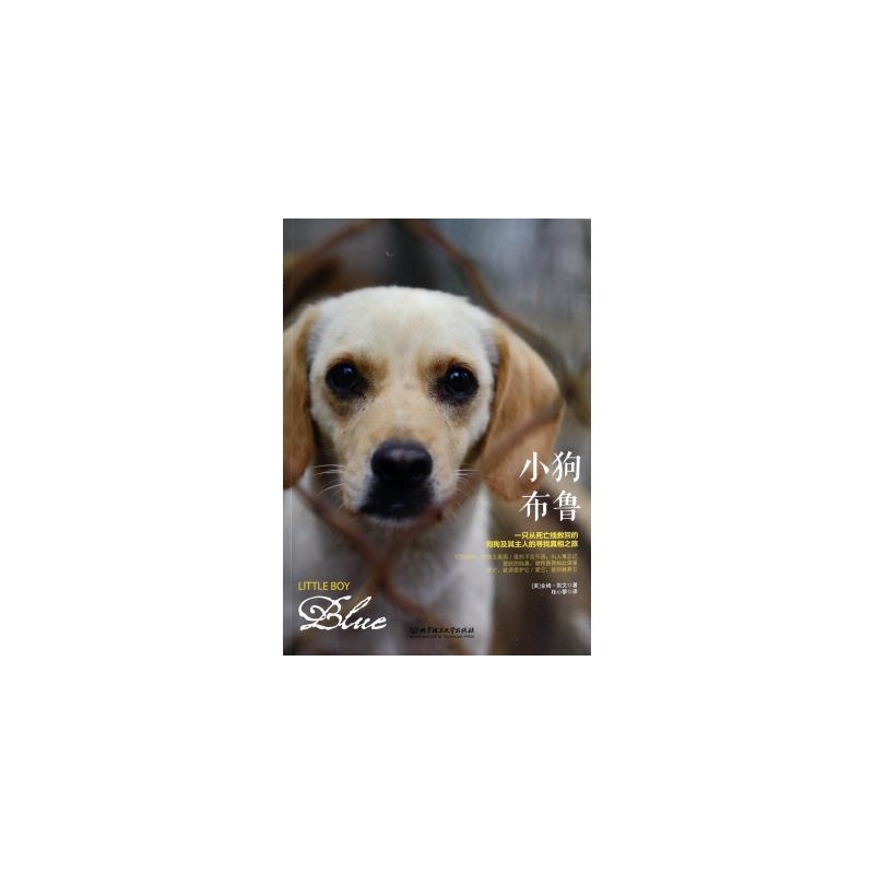 【小狗布鲁(一只从死亡线救回的狗狗及其主人