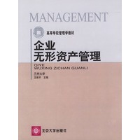 企业无形资产管理