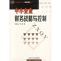 中小企业财务战略与控制