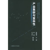 产业集群与复杂性