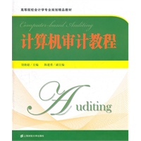 计算机审计教程