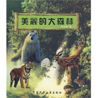 美丽的大森林