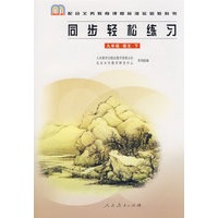 同步轻松练习：九年级 语文 下