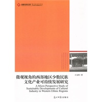 微观视角的西部地区少数民族文化产业可持续发展研究