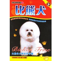 比熊犬