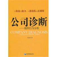 公司诊断
