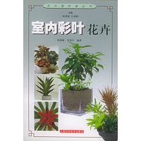 室内彩叶花卉——花卉爱好者丛书
