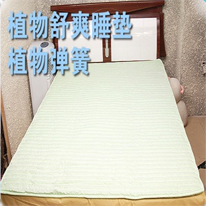 梦可儿 孕妇专用植物弹簧睡垫/床垫（200*120cm）