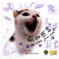 猫的感言（随书赠送：海报 笔记本 书签）