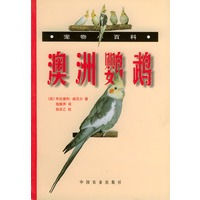 澳洲鹦鹉（宠物小百科）