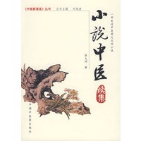小说中医续集