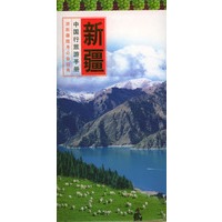 中国行旅游手册：新疆