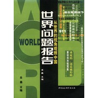 世界问题报告