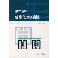 电力企业信息化SOA实践