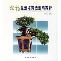 松柏盆景培育造型与养护