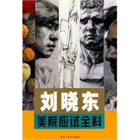 刘晓东美院应试全科