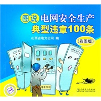 图说电网安全生产典型违章100条（彩图版）