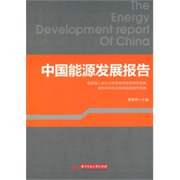 中国能源发展报告(靳晓明)