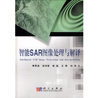智能SAR图像牏与解译