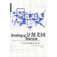 分割美国-广告与新媒介世界