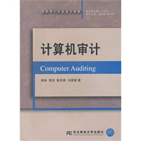 计算机审计（最新审计技术方法丛书）