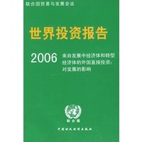 世界投资报告2006