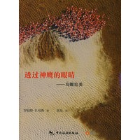 透过神鹰的眼睛——鸟瞰拉美（当当网全国独家首发）