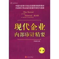 现代企业内部审计精要 （第二版）