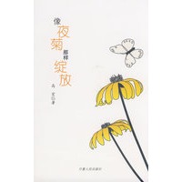 像夜菊那样绽放
