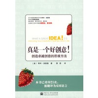 真是一个好创意！——创造卓越创意的思维方法