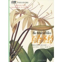百合圣经（精装）