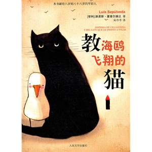 教海鸥飞翔的猫        