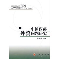 中国西部外资问题研究