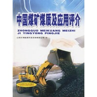 中国煤矿媒质及应用评介