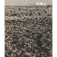 大地上：许江纸上作品集