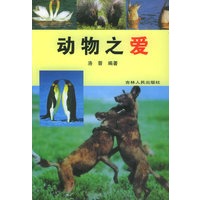 动物之爱