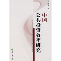中国公共投资效率研究