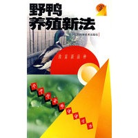 野鸭养殖新法